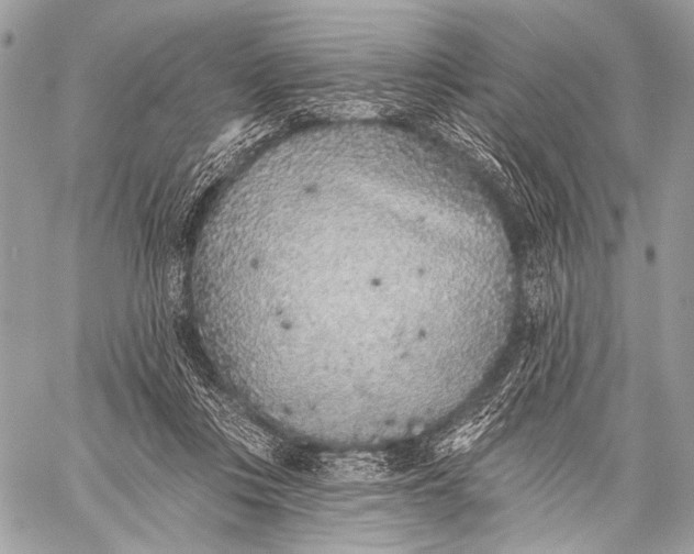 X0000059040359200510281548