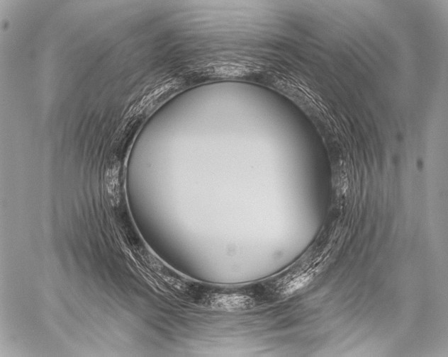 X0000059040360200510281548