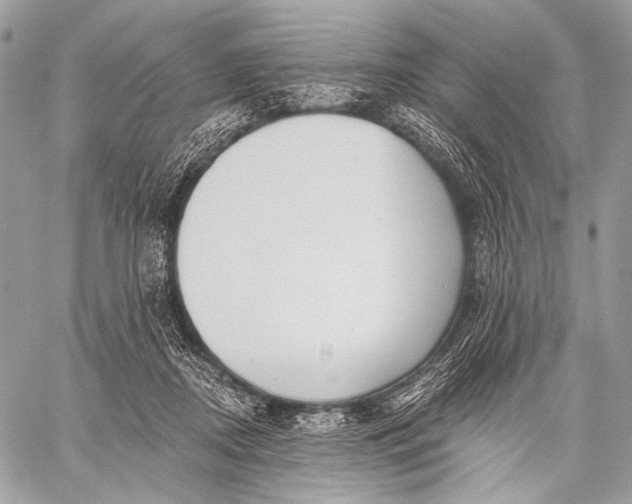 X0000059040362200510281548