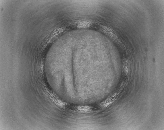 X0000059040363200510281548