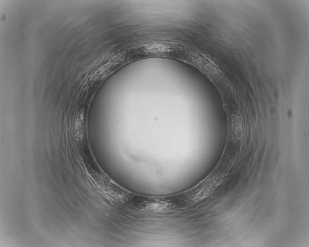 X0000059040364200510281548