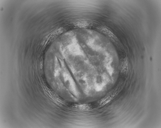 X0000059040365200510281548