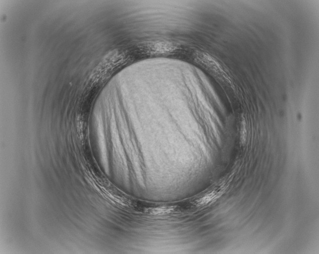 X0000059040366200510281548