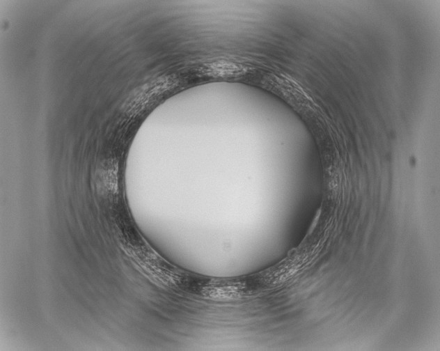 X0000059040368200510281548