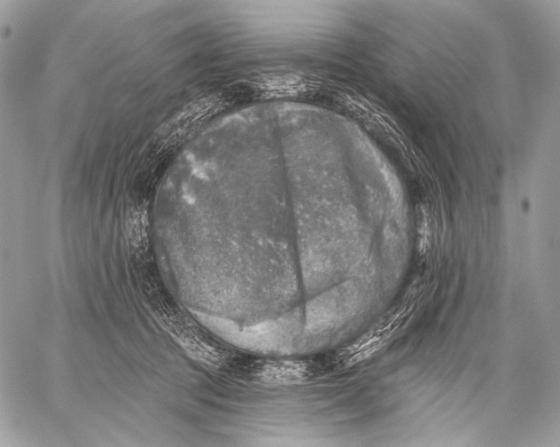 X0000059040369200510281548