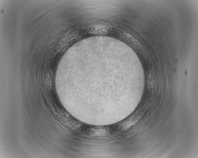 X0000059040370200510281548