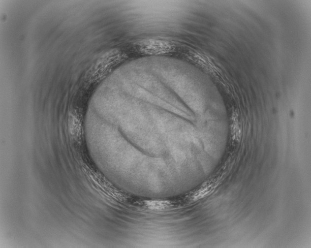 X0000059040371200510281548