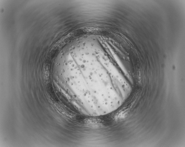 X0000059040372200510281548