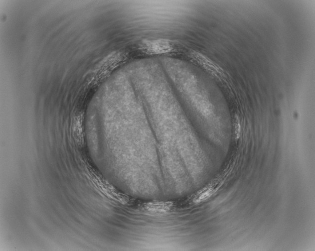 X0000059040373200510281548