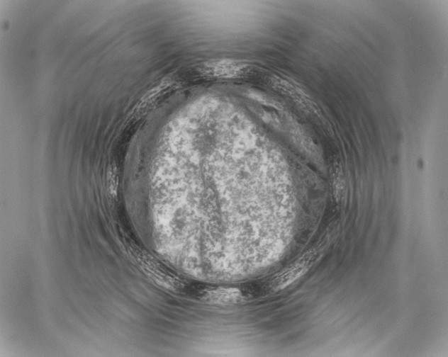 X0000059040374200510281548