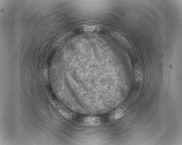 X0000059040375200510281548