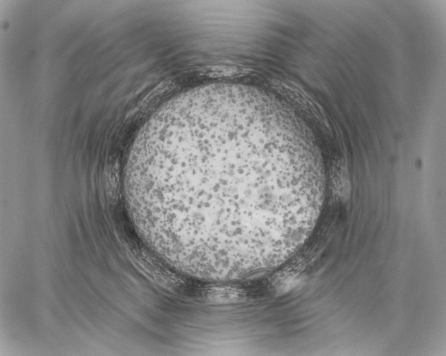 X0000059040376200510281548