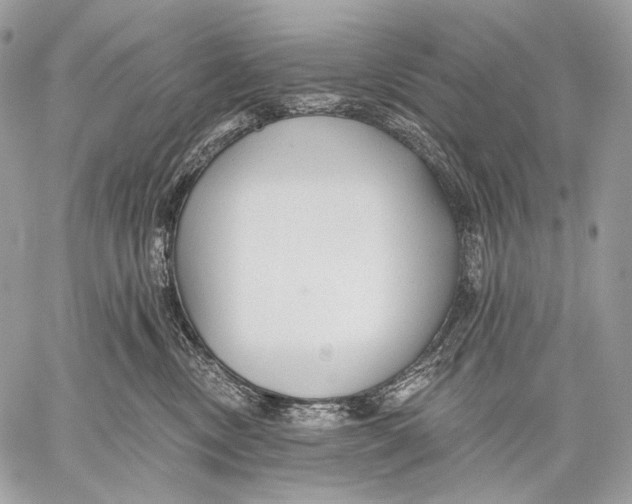 X0000059040378200510281548