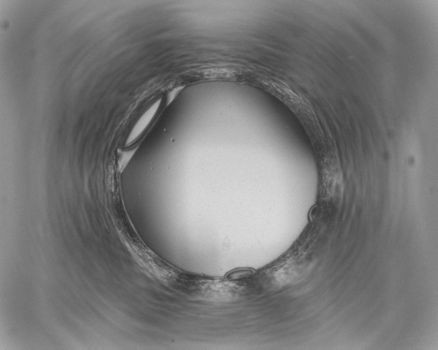 X0000059040379200510281548