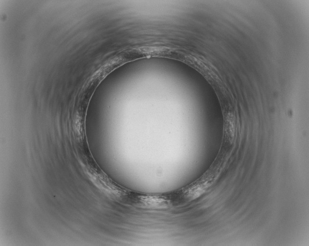 X0000059040380200510281548