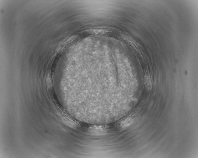 X0000059040381200510281548