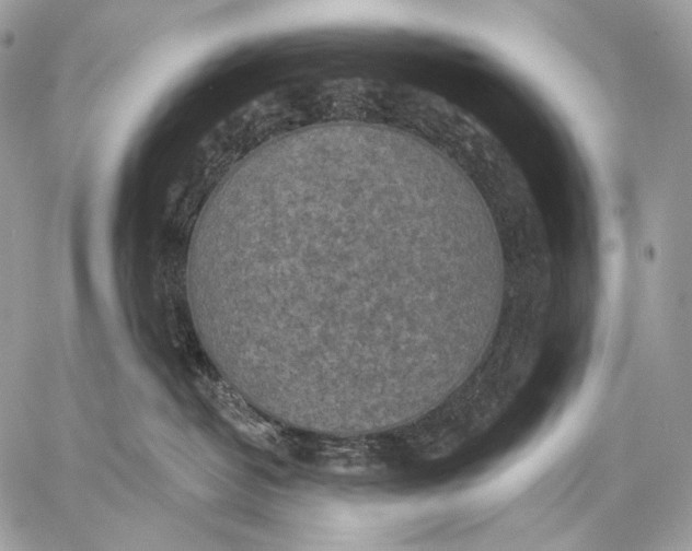 X0000059040382200510281548