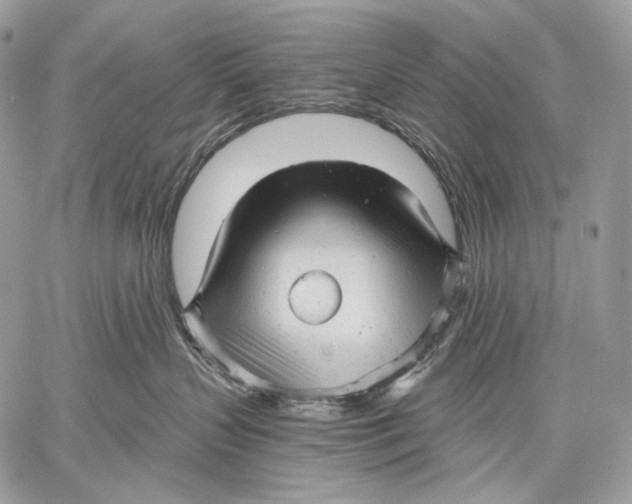 X0000059040383200510281548