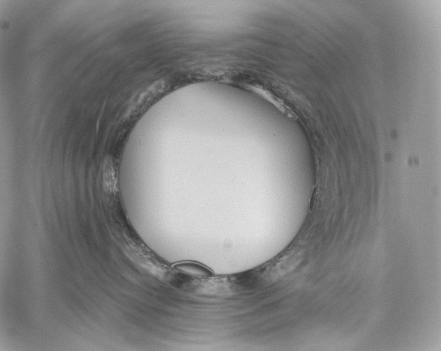 X0000059040384200510281548