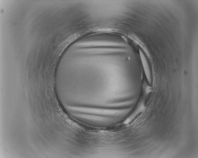 X0000059040385200510281547