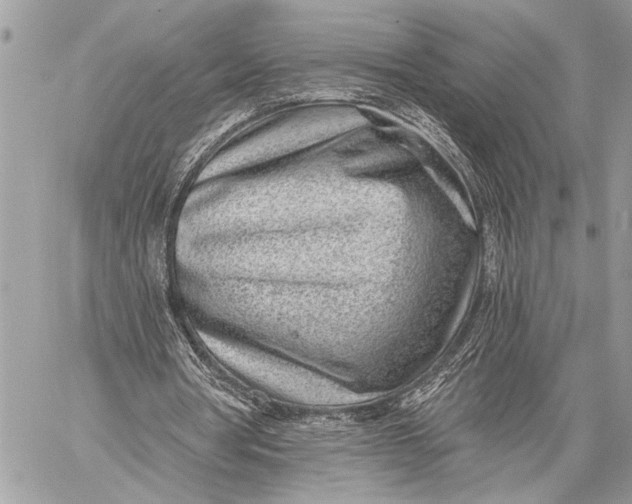 X0000059040386200510281547