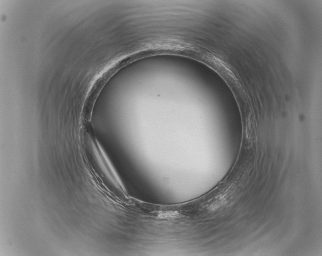 X0000059040388200510281547