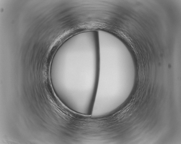 X0000059040392200510281547