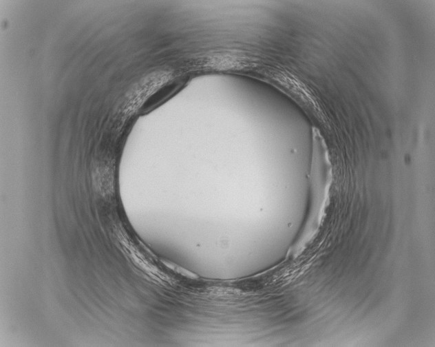 X0000059040393200510281547