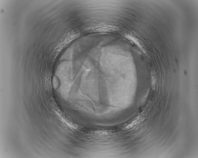 X0000059040394200510281547