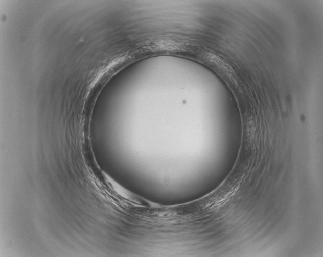 X0000059040395200510281547