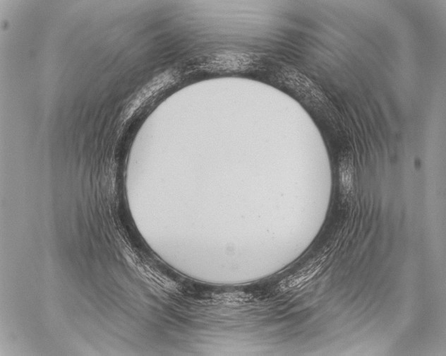 X0000059040396200510281547