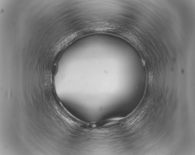 X0000059040397200510281547