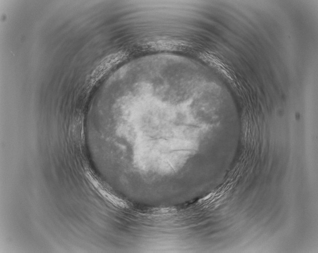 X0000059040398200510281547