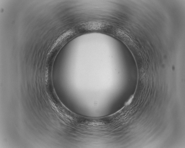 X0000059040400200510281547