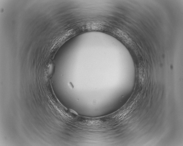 X0000059040401200510281547