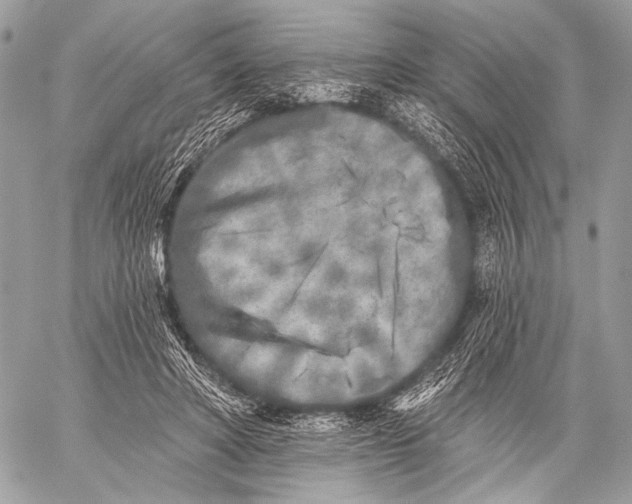 X0000059040402200510281547