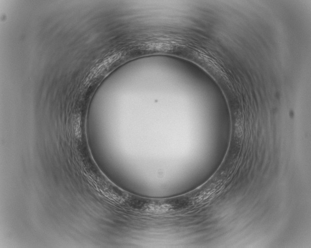 X0000059040403200510281547