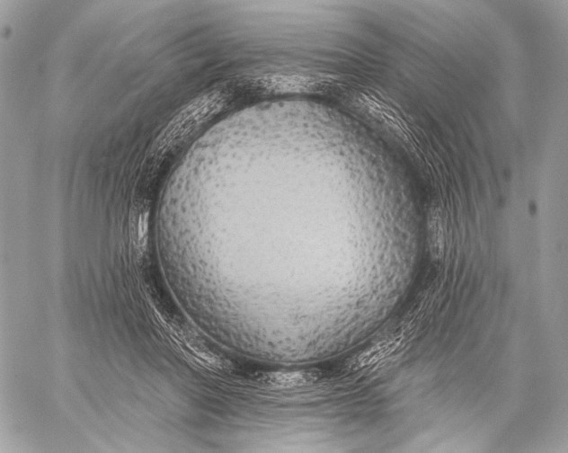 X0000059040406200510281547