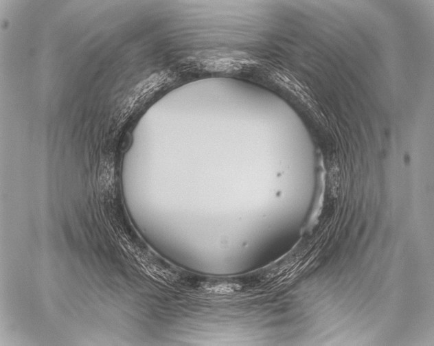 X0000059040407200510281547