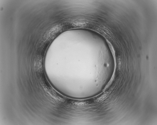 X0000059040408200510281547