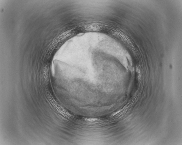 X0000059040409200510281547