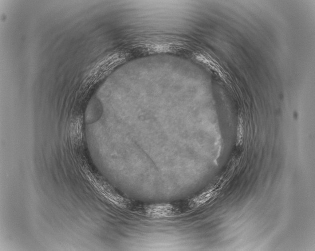 X0000059040410200510281547