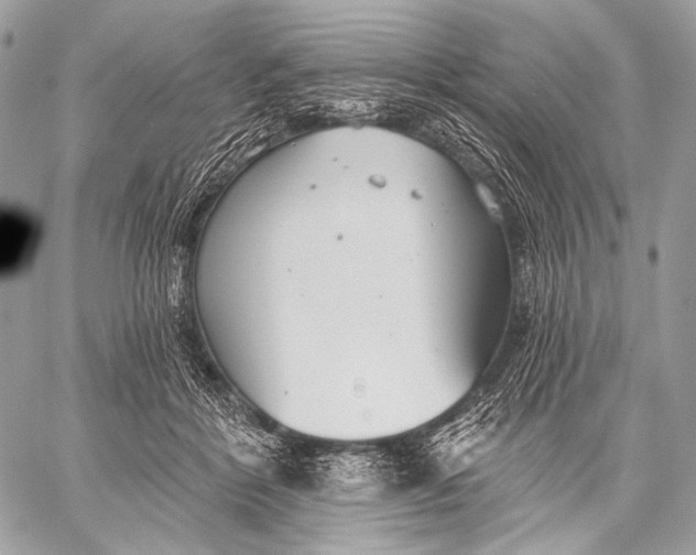 X0000059040412200510281547