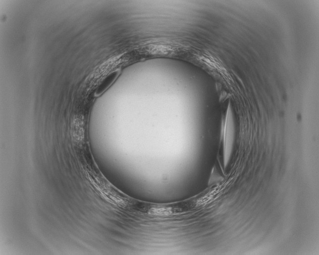 X0000059040413200510281547