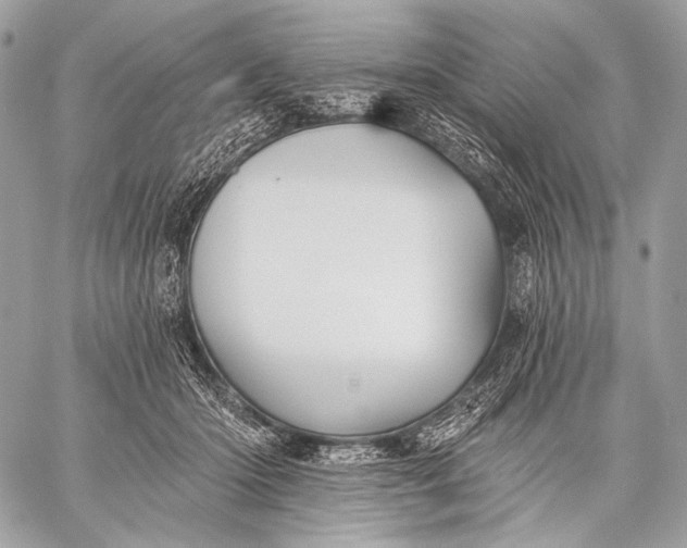 X0000059040414200510281547