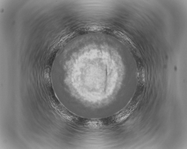 X0000059040415200510281547