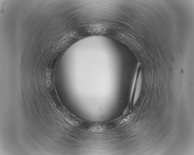 X0000059040416200510281547