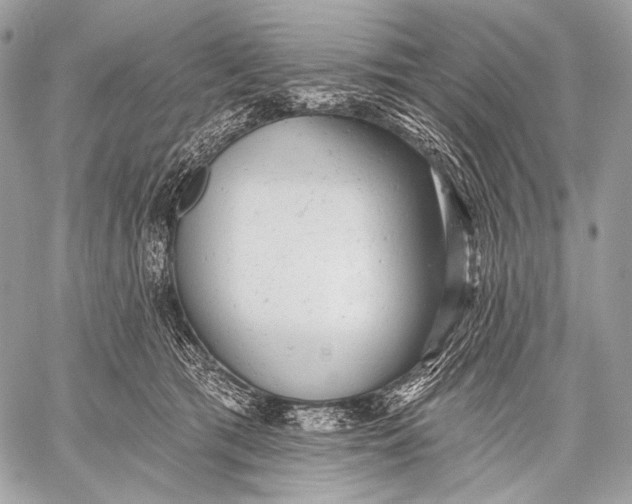 X0000059040417200510281547