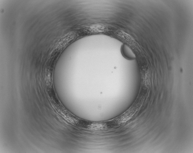 X0000059040418200510281547