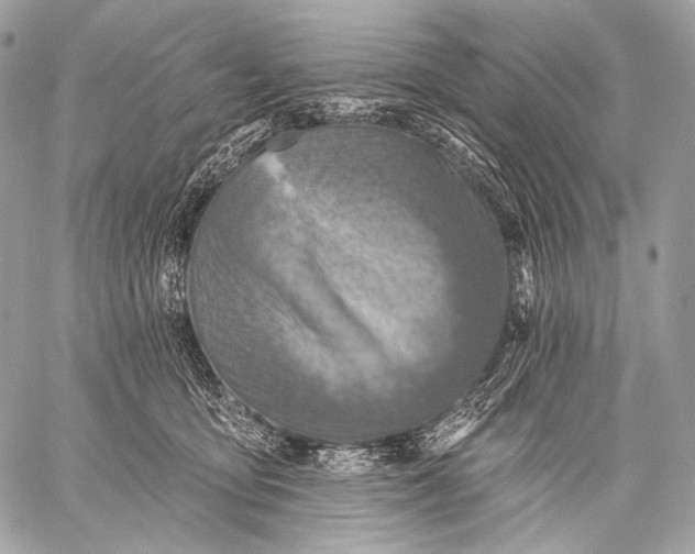 X0000059040419200510281547